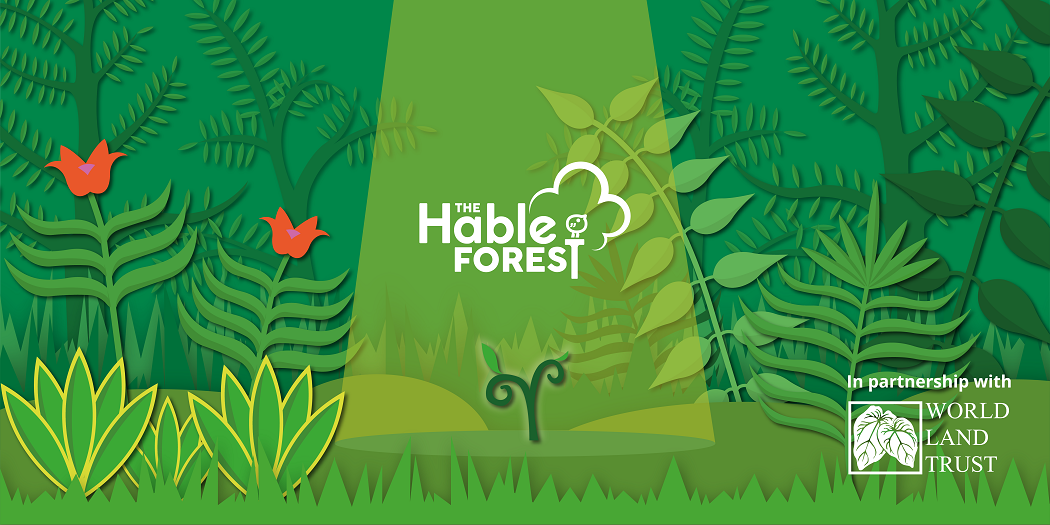 Announcing the Hable Forest, in partnership with The World Land Trust